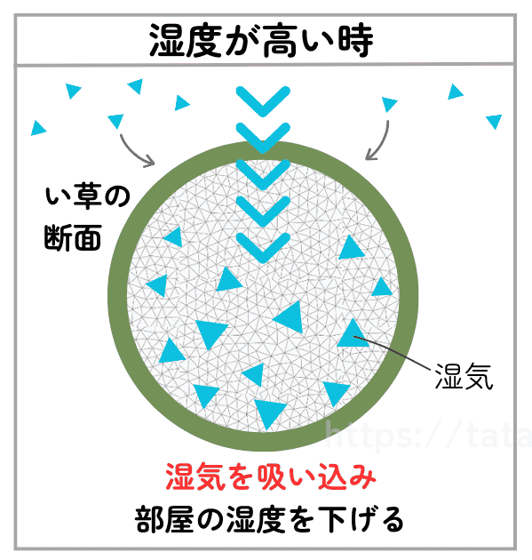 い草の畳には天然の調湿機能があります。部屋の湿度が高い時にはフィルター状になったい草内部に湿気を取りこみ、部屋の湿度を下げてくれます。