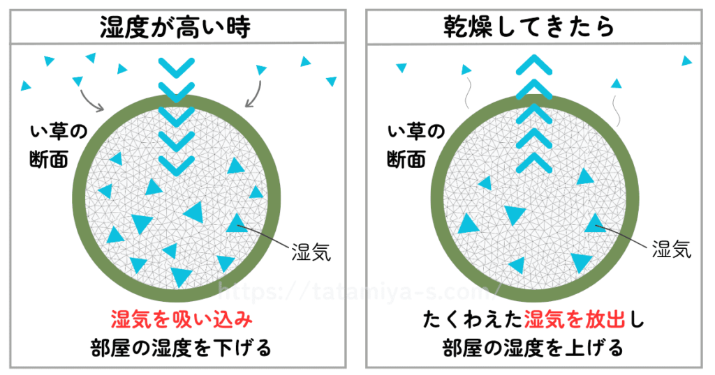 い草の畳は調湿機能もすごい！い草の畳は部屋の湿度が高い時は湿気を吸い込み、部屋が乾燥してくると蓄えた湿気を放出して湿度を調節してくれます。まさに天然のエアコンです。