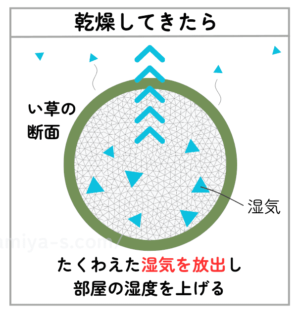 い草の畳には天然の調湿機能があります。部屋の湿度が低い時にはフィルター状になったい草の内部に蓄えていた湿気を放出し、部屋の湿度を上げてゆるやかに加湿してくれます。